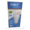 FIBIT EMERGENCY BULB 30W (Include 3 battery)