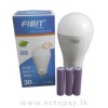 FIBIT EMERGENCY BULB 30W (Include 3 battery)