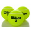 Wilson Championship Tennis Ball / Cricket ball