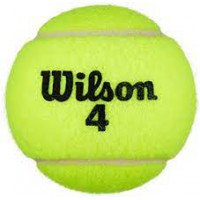 Wilson Championship Tenni...