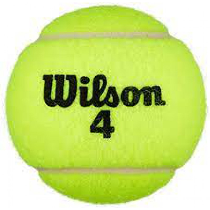Wilson Championship ...