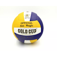 Gold Cup Volleyball