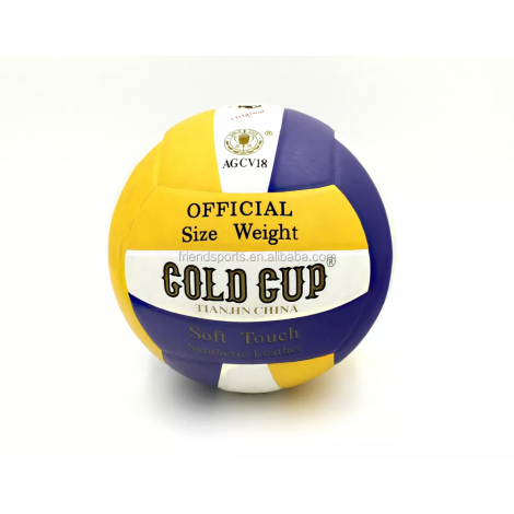 Gold Cup Volleyball