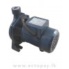 CHIMP WATER PUMP CPM-130