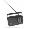 Richpower RADIO High Sensitivity Portable Receiver RPRD-853