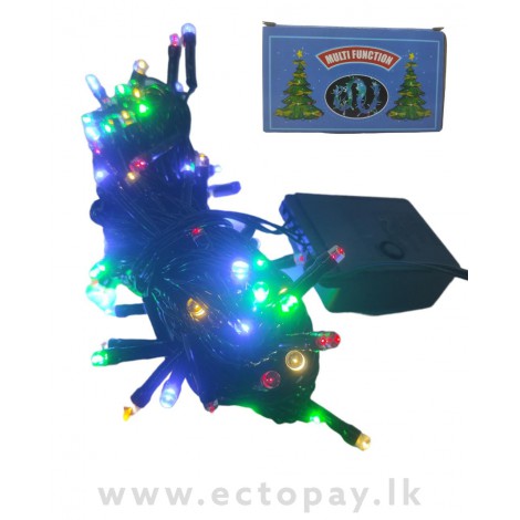 Multi Function Rice Light 100 Light (Multi Clour)