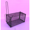 Rat Trap Cage length: 11 inches x width: 6 inches - Large