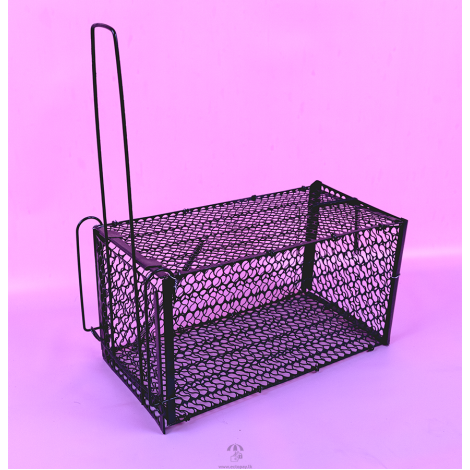 Rat Trap Cage length: 11 inches x width: 6 inches - Large