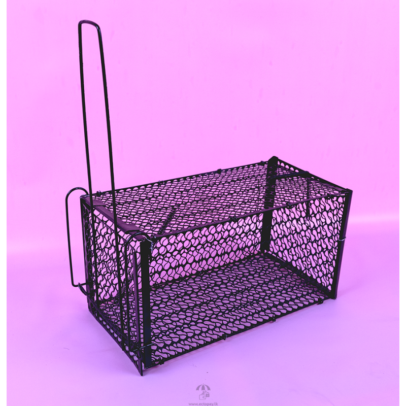 Rat Trap Cage length...