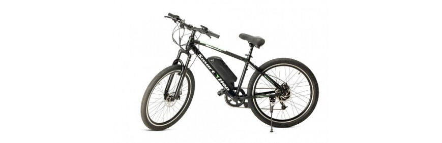 Electric Bike