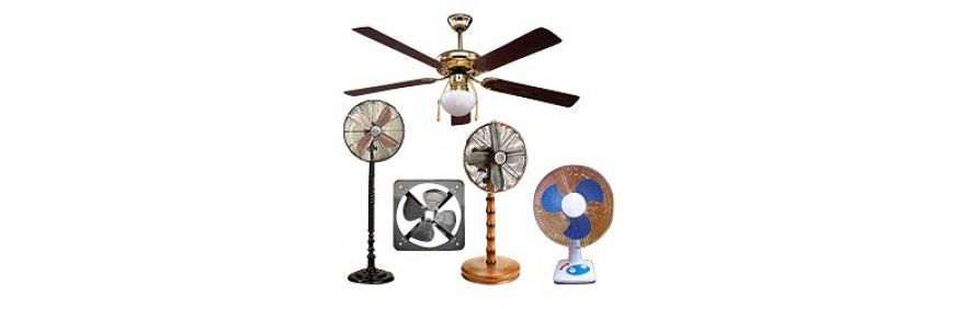 Fan Fan