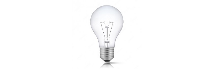 Bulb Bulb