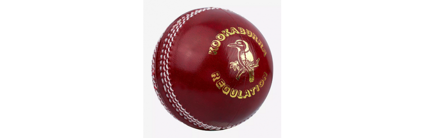 Cricket Cricket